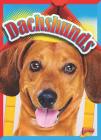 Dachshunds (Doggie Data) By Christa C. Hogan Cover Image