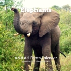 Elephants 8.5 X 8.5 Calendar September 2021 -December 2022: Monthly Calendar with U.S./UK/ Canadian/Christian/Jewish/Muslim Holidays-Elephant Animals Cover Image
