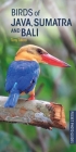 Birds of Java, Sumatra and Bali (Pocket Photo Guides) By Tony Tilford Cover Image