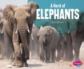 A Herd of Elephants (Animal Groups) By Amy Kortuem Cover Image