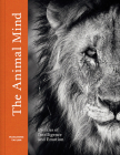 The Animal Mind: Profiles of Intelligence and Emotion By Marianne Taylor, Joel Sartore (Illustrator), Melissa Groo (Illustrator), Peter Delaney (Illustrator) Cover Image