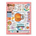 Blueprint for Health Your Eyes Chart By Anatomical Chart Company (Prepared for publication by) Cover Image