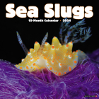 Sea Slugs 2024 12 X 12 Wall Calendar Cover Image