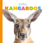 Baby Kangaroos (Starting Out) By Kate Riggs Cover Image