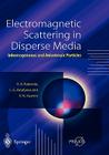 Electromagnetic Scattering in Disperse Media: Inhomogeneous and Anisotropic Particles By Victor A. Babenko, Ludmila G. Astafyeva, Vladimir N. Kuzmin Cover Image