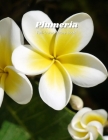 Plumeria Full-Color Picture Book: Flower Picture Book for Children, Seniors and Alzheimer's Patients - Hawaii Flowers Nature Gardening By Blossom Crossing Publishing Cover Image