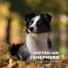 Australian Shepherd Calendar 2018: 16 Month Calendar By Paul Jenson Cover Image