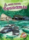 Tsunamis (Natural Disasters) By Betsy Rathburn Cover Image