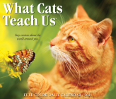 What Cats Teach Us 2021 Box Calendar By Willow Creek Press Cover Image