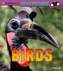 Birds: A 4D Book Cover Image