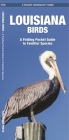 Louisiana Birds: A Folding Pocket Guide to Familiar Species (Pocket Naturalist Guide) Cover Image