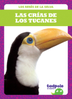 Las Crías de Los Tucanes (Toucan Chicks) By Genevieve Nilsen Cover Image