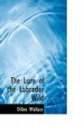 The Lure of the Labrador Wild By Dillon Wallace Cover Image