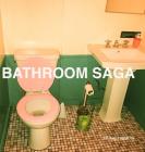 Bathroom Saga Cover Image