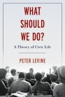 What Should We Do?: A Theory of Civic Life Cover Image