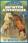 Dandy, the Mountain Pony (Showtym Adventures #1) By Kelly Wilson Cover Image