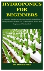 Hydroponics For Beginners: A Complete Step By Step Beginners Guide To Building A DIY Hydroponic System And To Raise Fruits, Herbs And Vegetables Cover Image