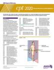 CPT 2020 Express Reference Coding Card: Physician Medicine and Rehabilitation By American Medical Association Cover Image