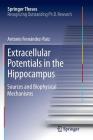 Extracellular Potentials in the Hippocampus: Sources and Biophysical Mechanisms (Springer Theses) By Antonio Fernández Ruiz Cover Image
