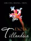 Exotic Tillandsia Cover Image