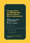 Perspectives on Biologically Based Cancer Risk Assessment (NATO Challenges of Modern Society #23) Cover Image