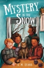 Mystery in the Snow (Treasure #2) Cover Image