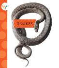 Snakes (Spot Backyard Animals) By Mari C. Schuh Cover Image