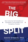 The Big Split By David Ryback Cover Image