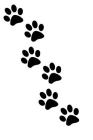 Paw Print Tracks: For Animal Lovers Cover Image