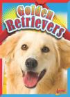 Golden Retrievers (Doggie Data) By Christa C. Hogan Cover Image