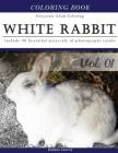 White Rabbits: Gray Scale Photo Adult Coloring Book, Mind Relaxation Stress Relief Coloring Book Vol1: Series of coloring book for ad By Banana Leaves Cover Image
