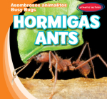 Hormigas / Ants Cover Image