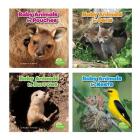 Baby Animals and Their Homes Cover Image
