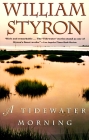 A Tidewater Morning (Vintage International) Cover Image