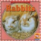 Rabbits (Let's Read about Pets) By JoAnn Early Macken Cover Image