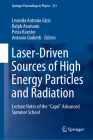 Laser-Driven Sources of High Energy Particles and Radiation: Lecture Notes of the Capri Advanced Summer School (Springer Proceedings in Physics #231) Cover Image