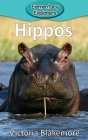 Hippos (Elementary Explorers #34) By Victoria Blakemore Cover Image
