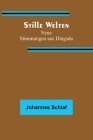 Stille Welten: Neue Stimmungen aus Dingsda By Johannes Schlaf Cover Image