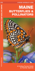 Maine Butterflies & Pollinators: A Folding Pocket Guide to Familiar Species By James Kavanagh Cover Image