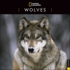 National Geographic: Wolves 2024 Wall Calendar By National Geographic, Disney Cover Image