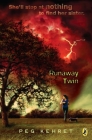 Runaway Twin By Peg Kehret Cover Image
