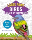 Large Print Color by Numbers Birds: Easy-To-Read By David Woodroffe Cover Image