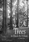Trees in Black & White: A Visual Tour By Tony Howell Cover Image