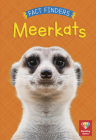 Meerkats By Katie Woolley Cover Image