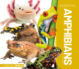 Essential Amphibians By Marie Pearson Cover Image