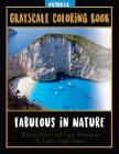 Fabulous in Nature: Landscapes Grayscale Coloring Book Relieve Stress and Enjoy Relaxation 24 Single Sided Images By Victoria Cover Image