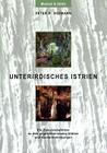 Unterirdisches Istrien: Ein Exkursionsführer zu den ungewöhnlichsten Höhlen und Karsterscheinungen By Peter R. Hofmann Cover Image