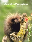 Adorable Porcupines Full-Color Picture Book: Porcupine Picture Book for Children, Seniors and Alzheimer's Patients -Nature Animals By Fabulous Book Press Cover Image