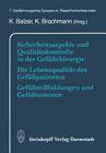 Sicherheitsaspekte Und Qualitätskontrolle in Der Gefäßchirurgie Die Lebensqualität Des Gefäßpatienten Gefäßmißbildungen Und Gefäßtumoren: 7. Gefäßchir By K. Balzer (Editor), K. Brachmann (Editor) Cover Image