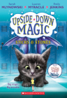 Sticks & Stones (Upside-Down Magic #2) By Sarah Mlynowski, Lauren Myracle, Emily Jenkins Cover Image